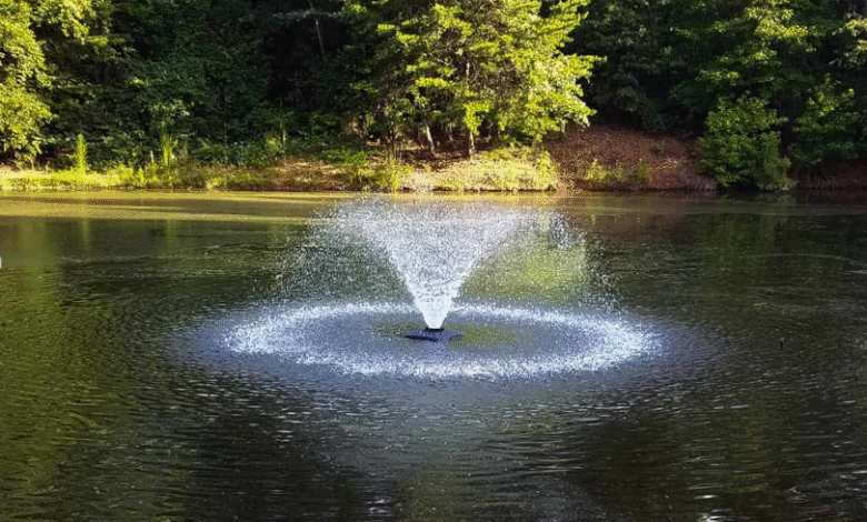 From Stagnant to Stunning: Giving Life to Your Backyard Pond