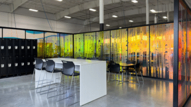 How Coloured Glass Film for Window Services Are Shaping Modern Australian Spaces