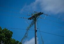 digital infrastructure for growth