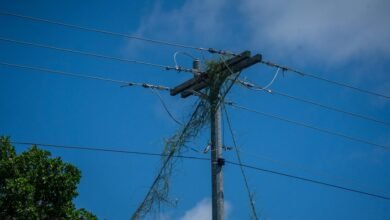 digital infrastructure for growth