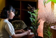 online model for growth