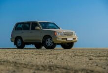 reliable stability online platform