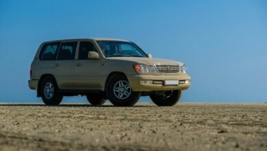 reliable stability online platform