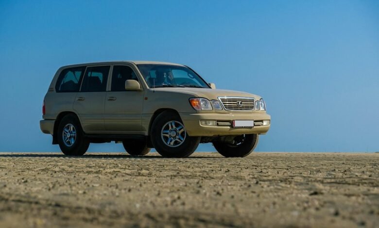 stable online model 923999110